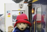 Paddington Bear at Paddington Station (file photo).