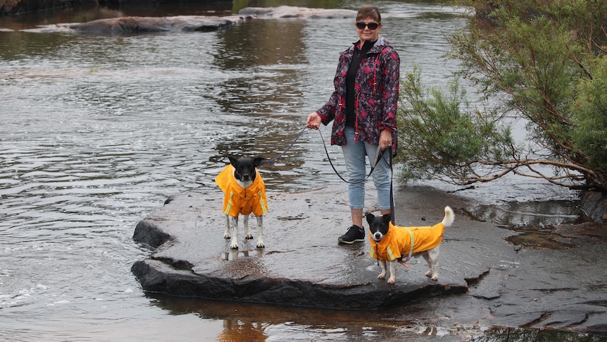 a woman poses with two small dogs wearing raincoats next to a river