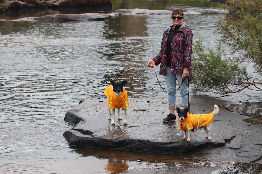 a woman poses with two small dogs wearing raincoats next to a river