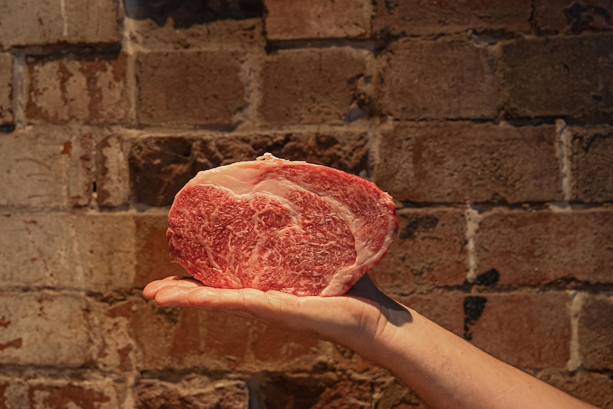 A hand holds up a lump of exquisitely marbled beef.