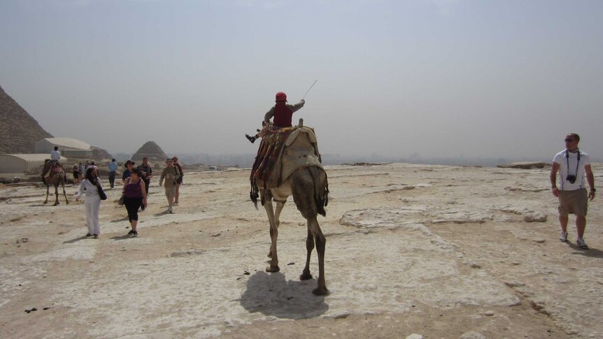 An Egyptian boy rides a camel at the pyramids of Giza in May 2013.
