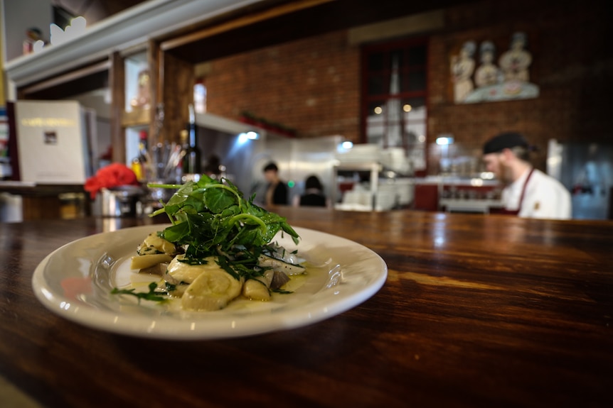 A plate of oyster mushrooms with a herb garnish.