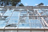 A close-up image of damaged panes of glass in a CSIRO greenhouse, with some shattered glass still remaining.