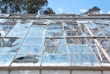 A close-up image of damaged panes of glass in a CSIRO greenhouse, with some shattered glass still remaining.