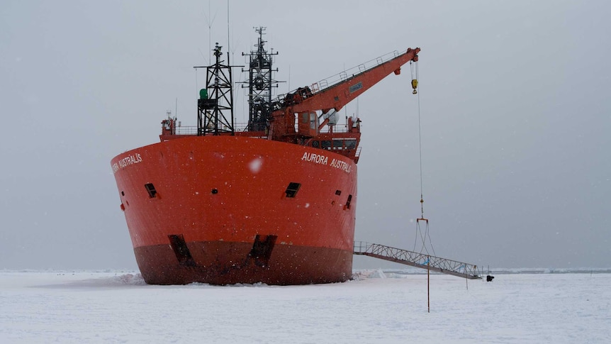 Aurora Australis celebrates 25th birthday