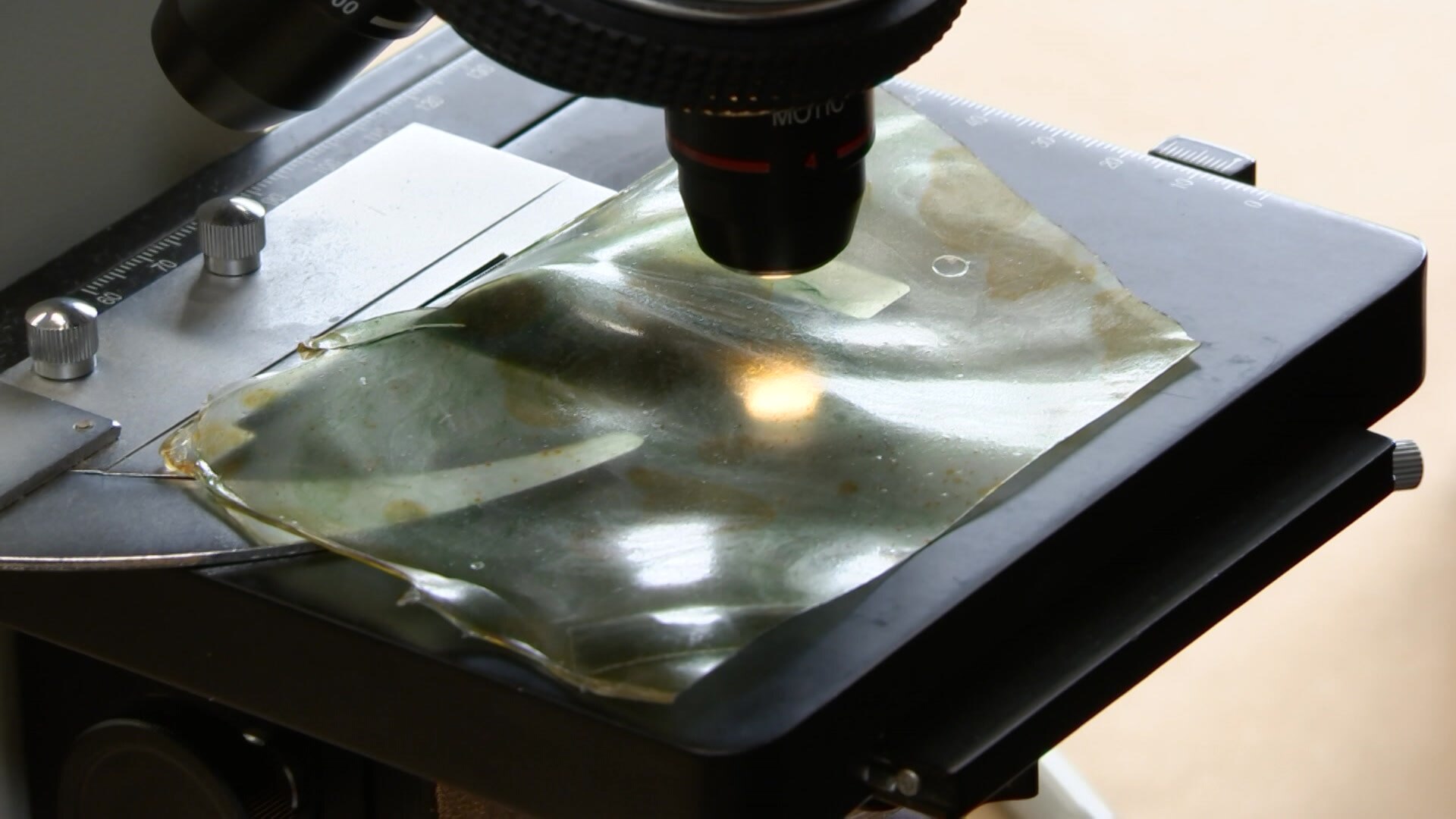 A piece of bioplastics  under the microscope.