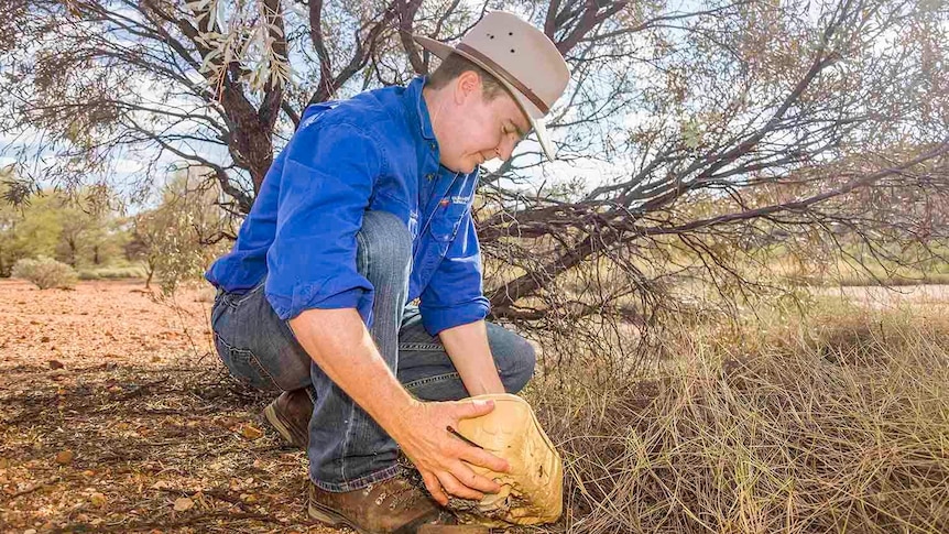 A researcher on his knees with a ground-based satellite camera in Pullen Pullen reserve