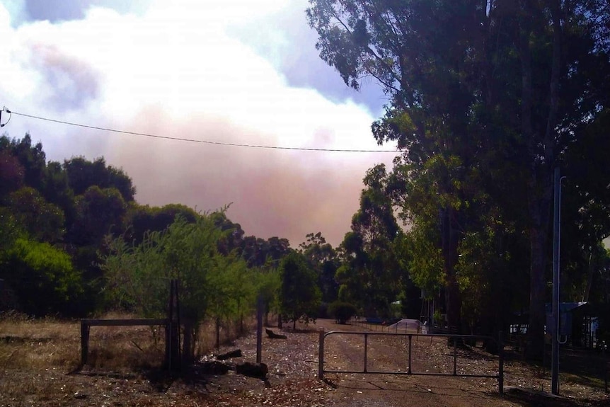 Smoke rising from a fire burning near Darradup in the Shire of Nannup.