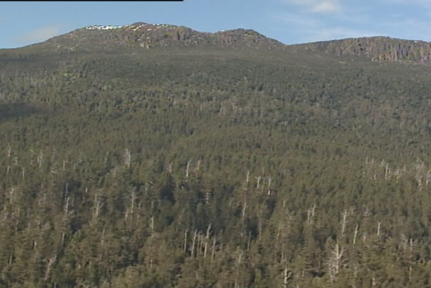 The government's legislation allows native forests set for protection under the TFA to be harvested in six years.