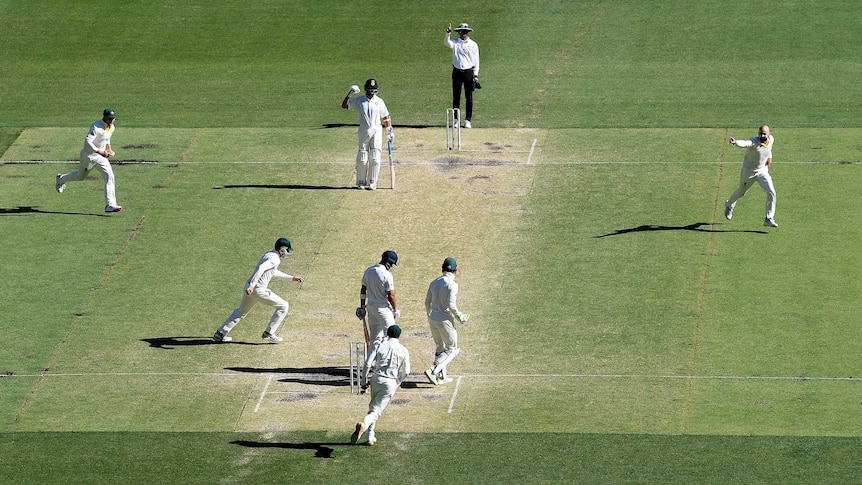 Nathan Lyon wheels away after taking wicket against India