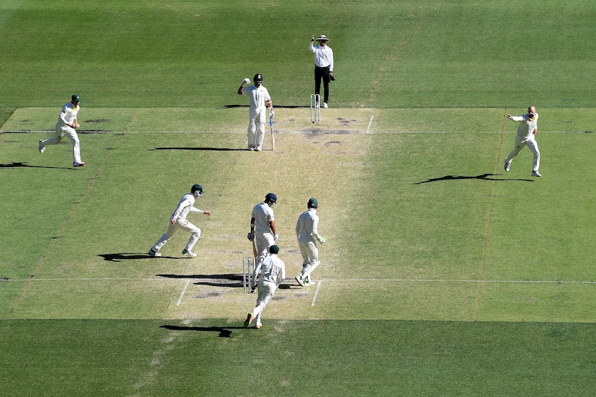 Nathan Lyon wheels away after taking wicket against India