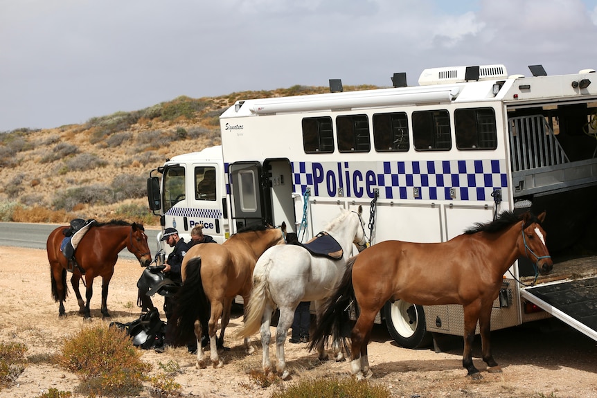Horses next to a police float in an outback setting.