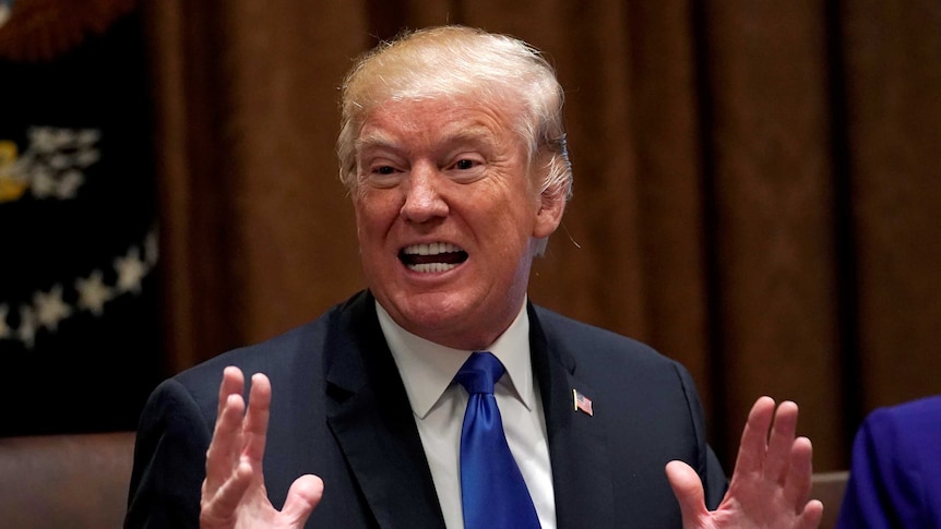 Donald Trump gestures with his hands as he speaks to Congress members.