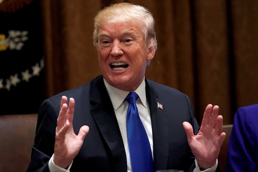 Donald Trump gestures with his hands as he speaks to Congress members.