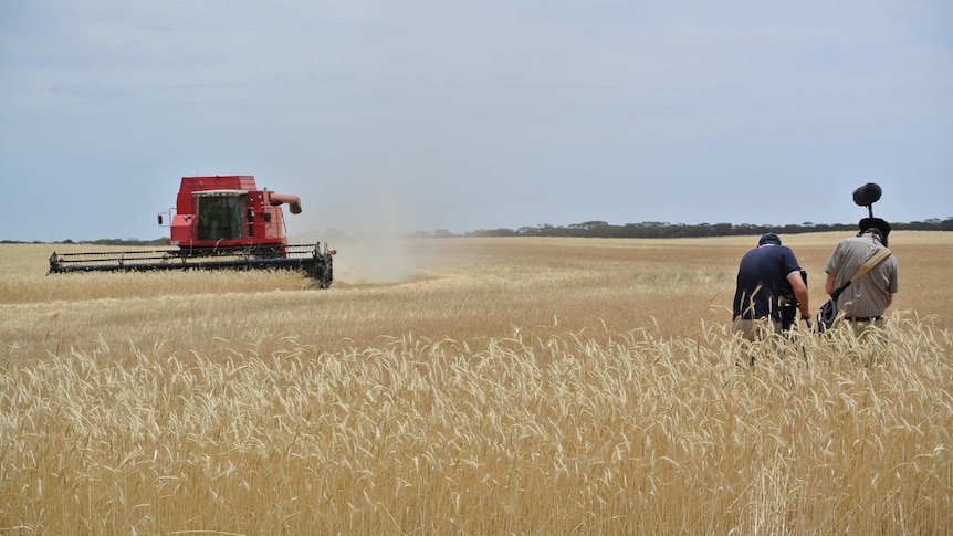 Harvester and crew