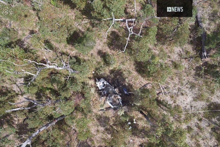 An aerial shot of a light plane crash near Albany in WA south.