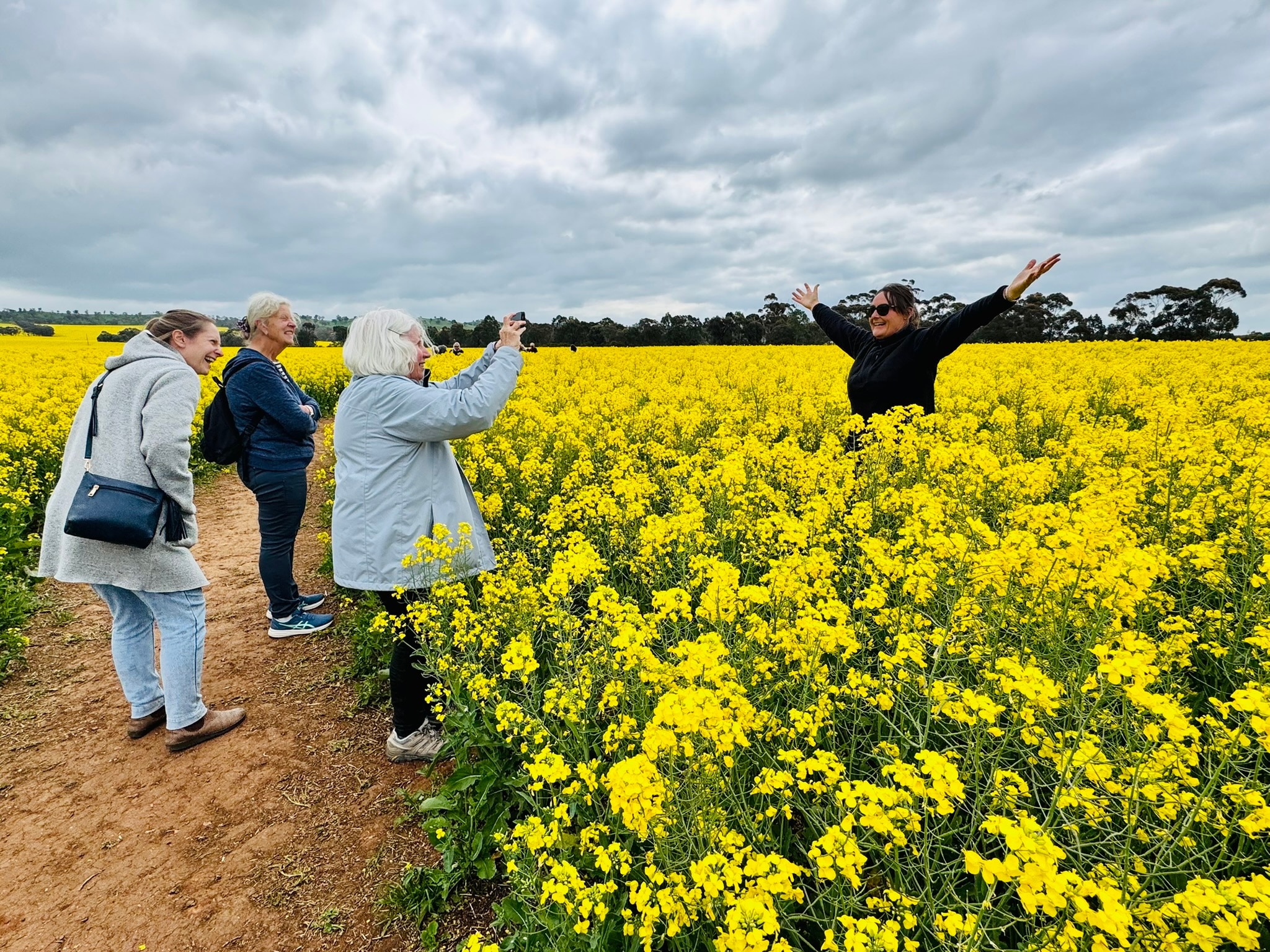 Golden Opportunity: Victorian Farm Cashes In On Canola Craze