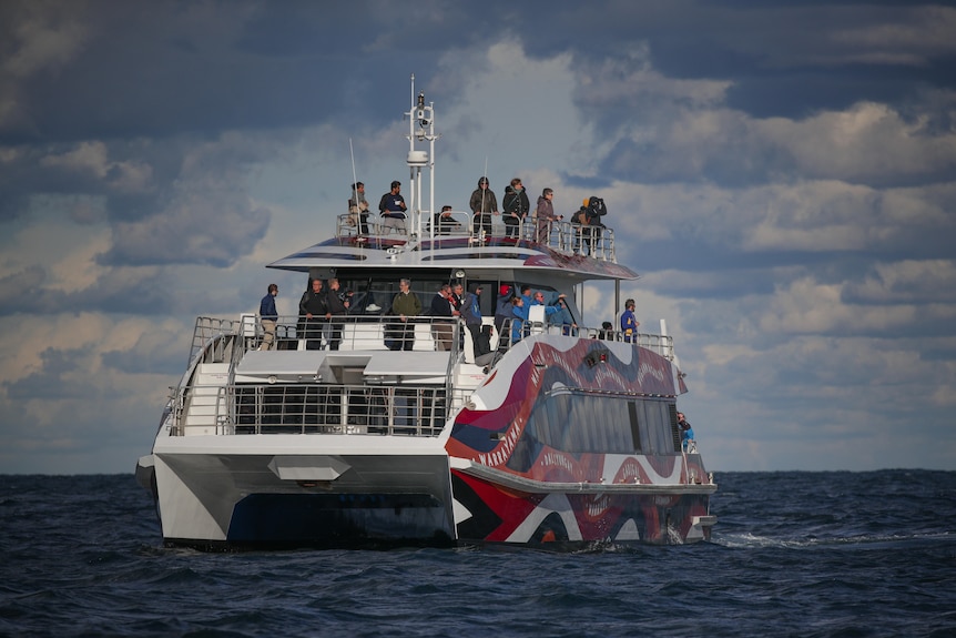 Sydney fast ferry, Ocean Dreaming 2, at sea. The ferry has distinctive wavy lines with words interspersed 