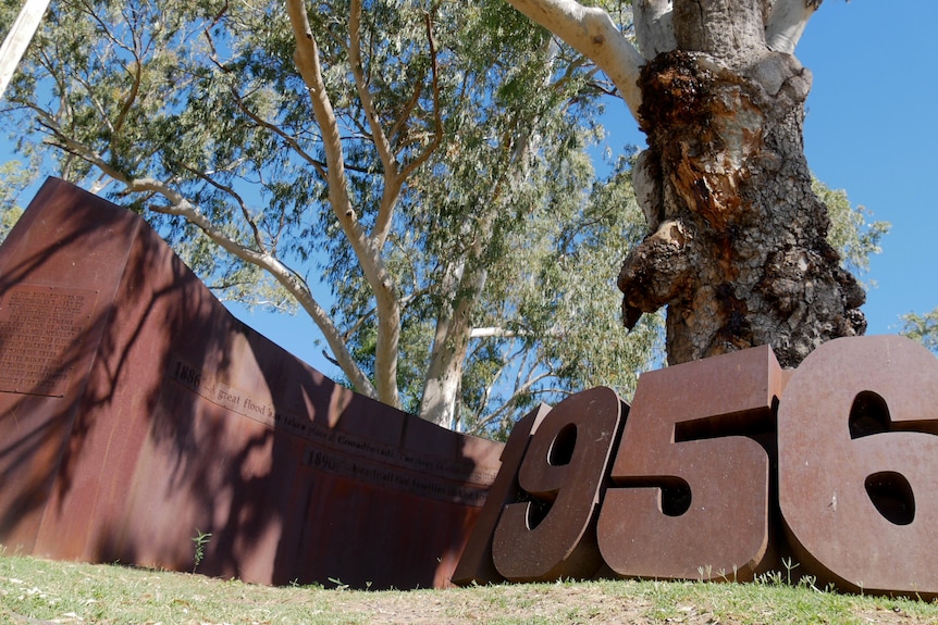 Un mémorial en acier avec le numéro 1956 s'enroule autour d'un vieil arbre d'eucalyptus