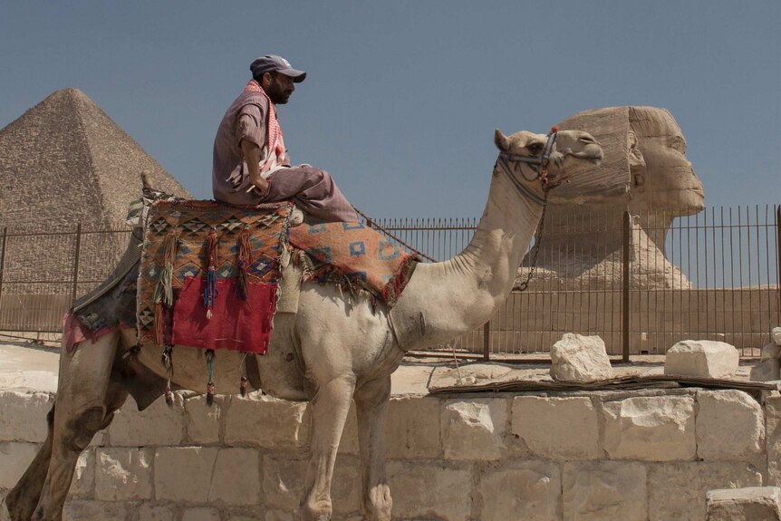 Tour guide sits on a camel