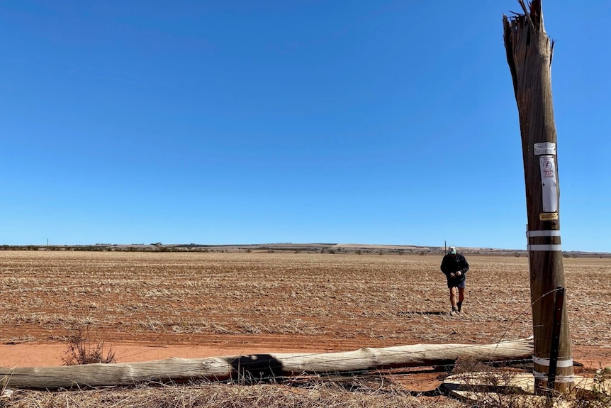 A broken power pole in front of a barren paddock in rural WA with a man walking in the background.