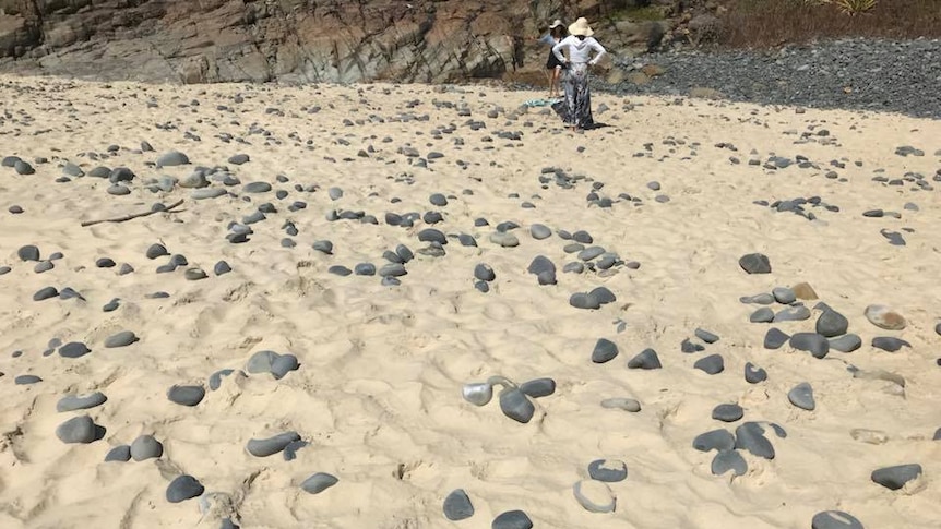 words made up of small rocks on a beach