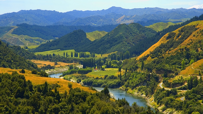Whanganui River on New Zealand's north island