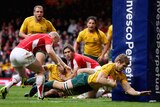 The Wallabies will play four Test matches this winter - one against Scotland and three against the Welsh.