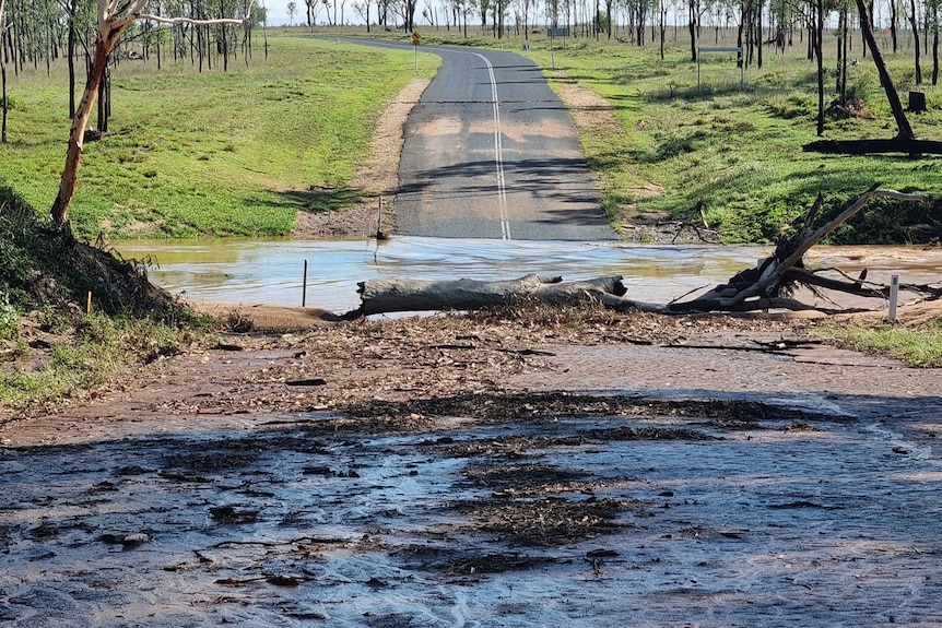 Floodwater, mud, tree trunks over a road, green grass in background.