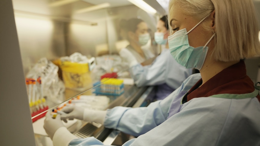 A medical worker with a mask looks at some test tubes.
