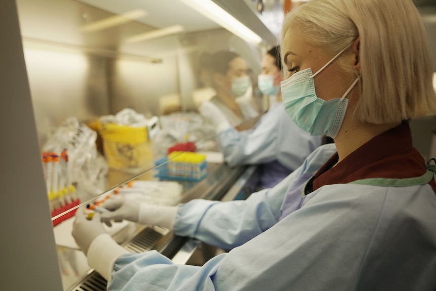 A medical worker with a mask looks at some test tubes.