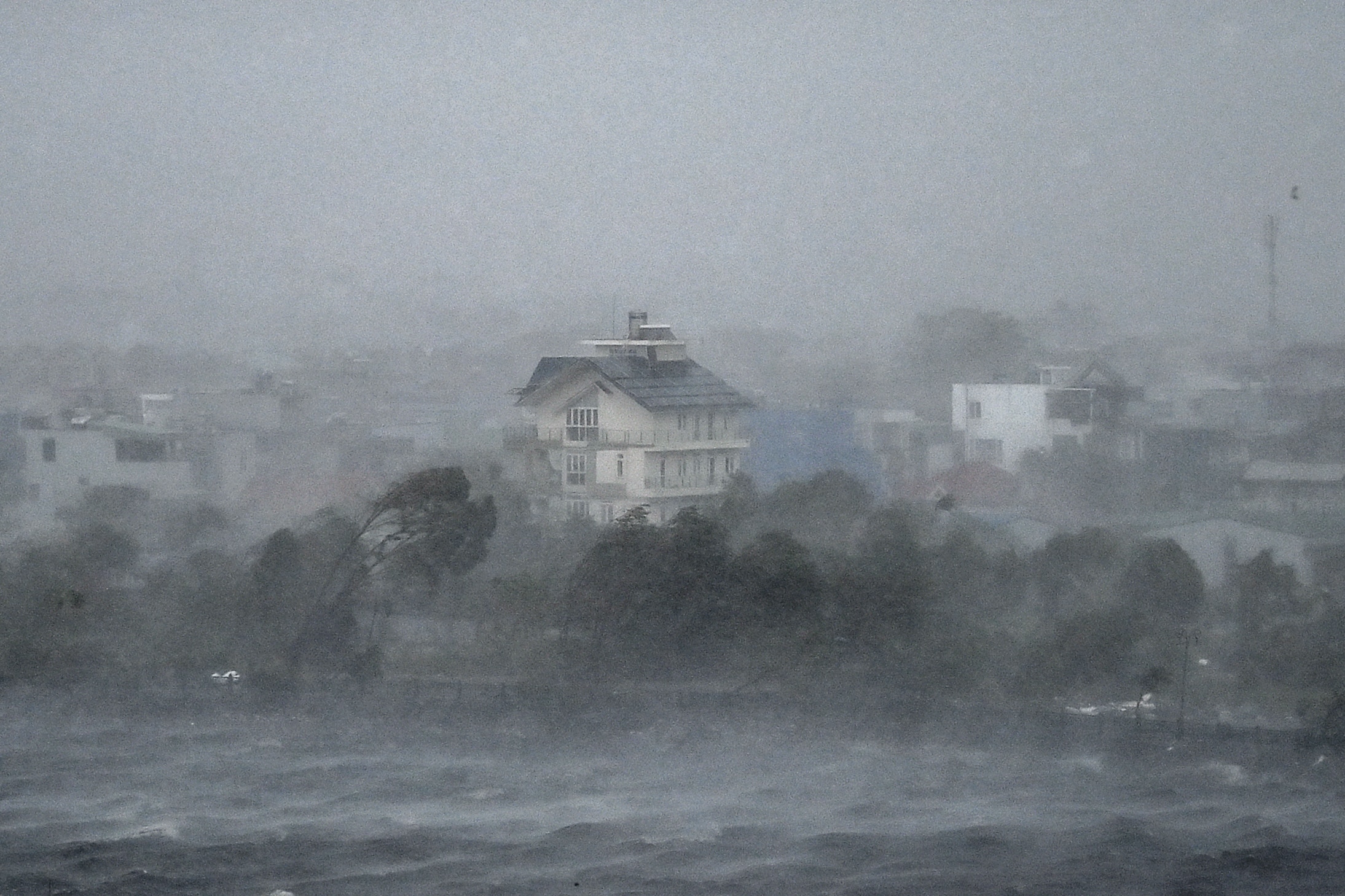 A shoreline, with water invading, trees collapsing, and building barely visible through a grey mist.
