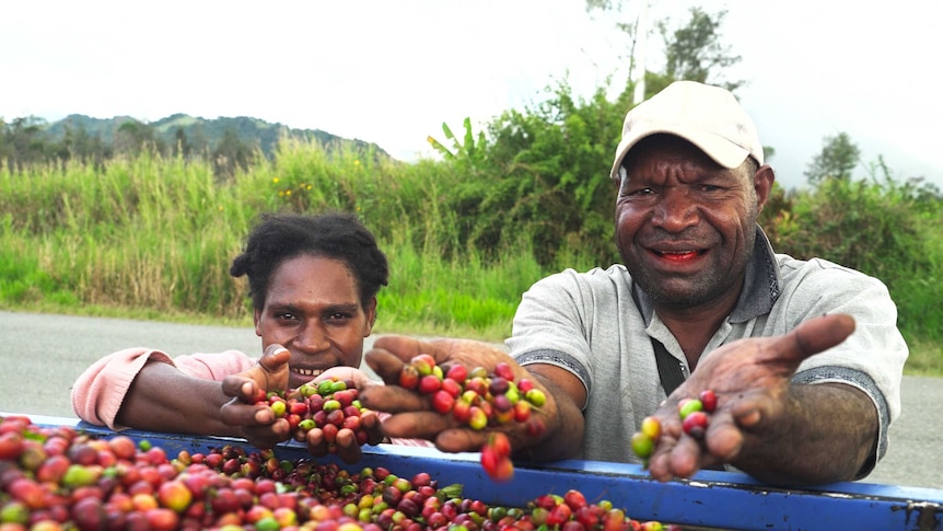 A coffee buyer and grower hold handfuls of beans from a stack in the back of a truck
