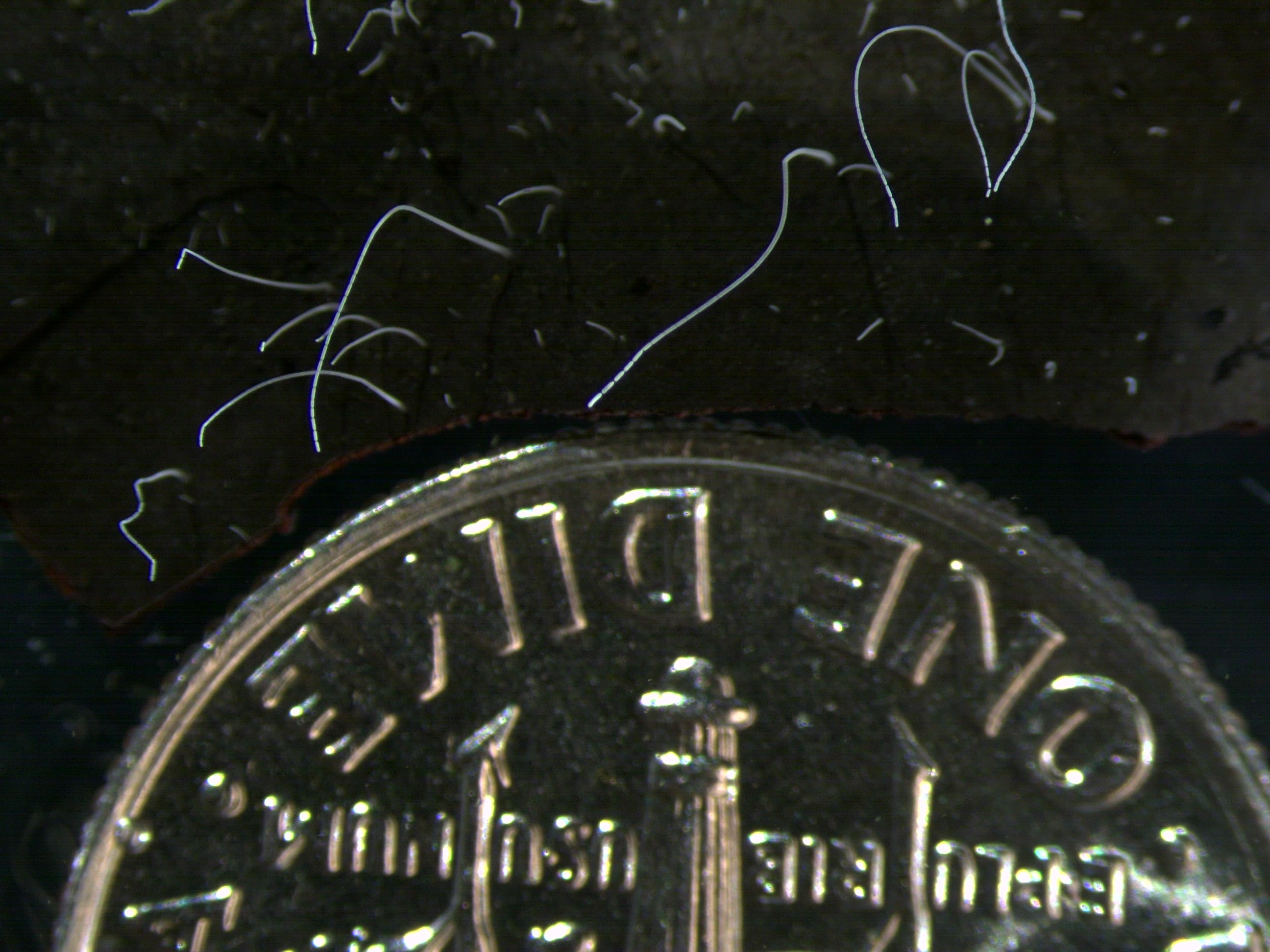 Closeup of a coin surrounded by white lines