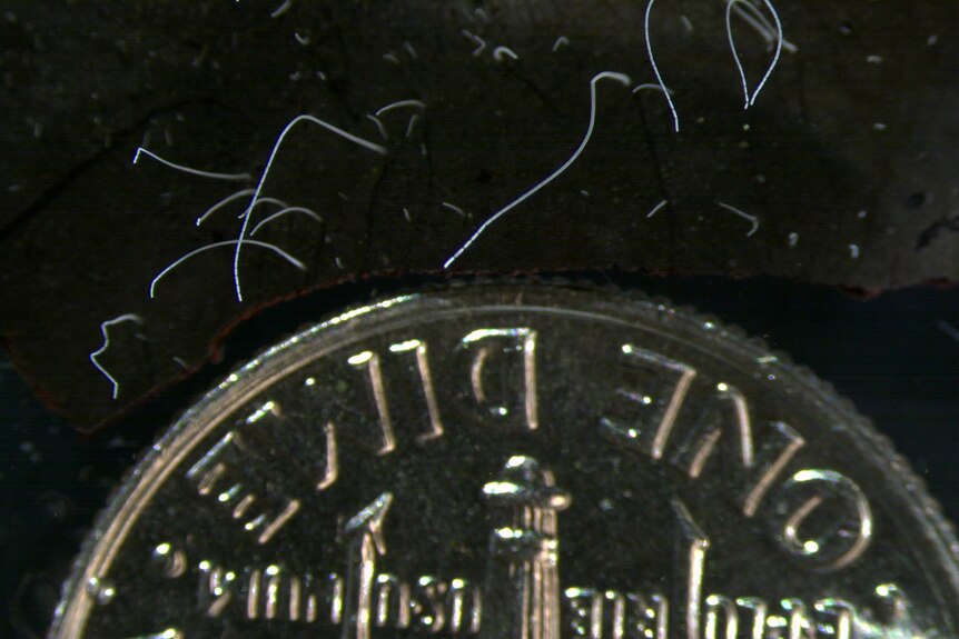 Closeup of a coin surrounded by white lines