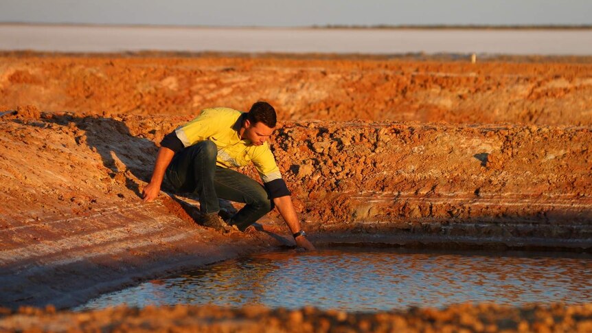 A hydrologist puts his hand into the brine water pools at Lake Mackay.