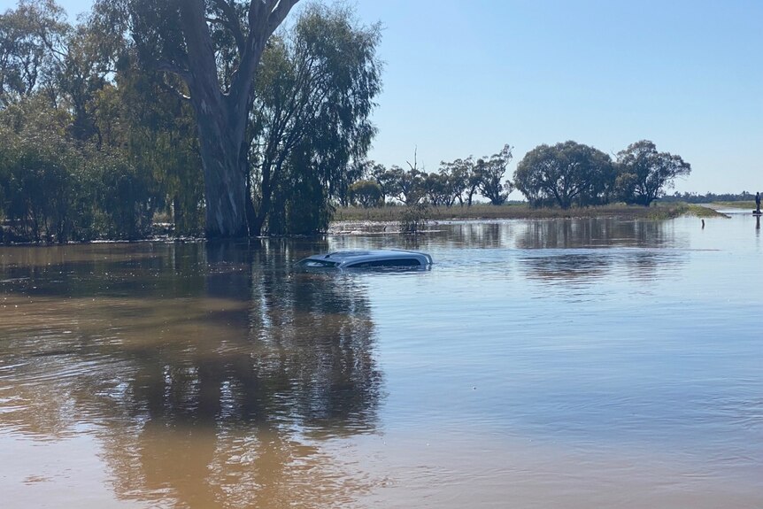 The roof of a white ute is just visible above brown water. Trees in the background.