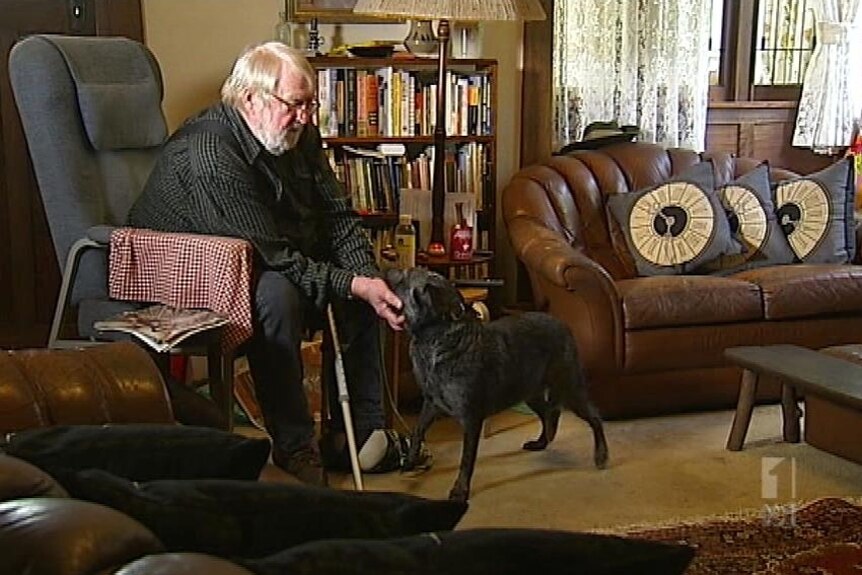An older man sits in an armchair and pats his dog.