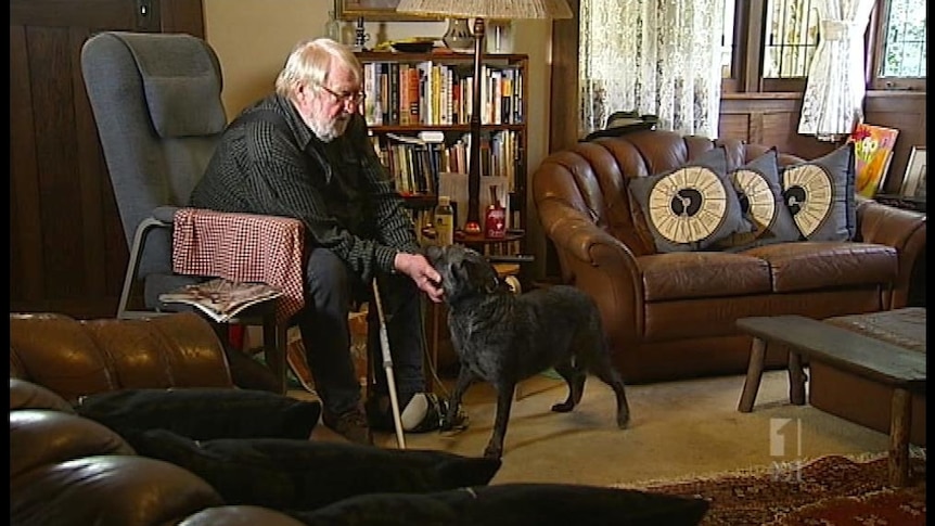 An older man sits in an armchair and pats his dog.