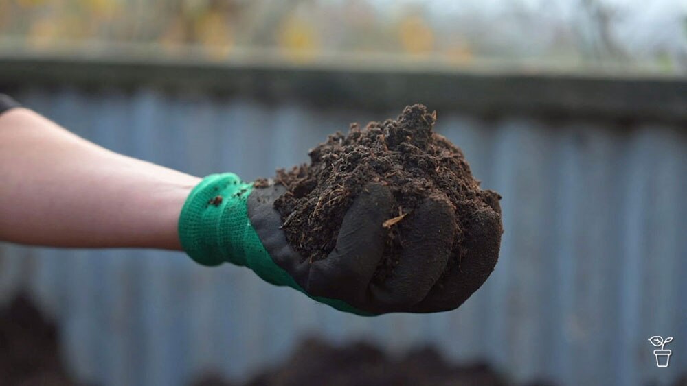 The Scoop on Poop - Gardening Australia