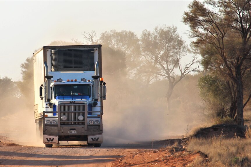 Dust clouds follow a large truck as it drives down a dirt road, with trees on the side