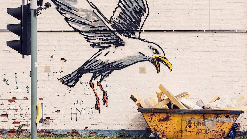 A huge mural of seagull flying above a real life skip with bits of wood sticking out, a bit like chips.