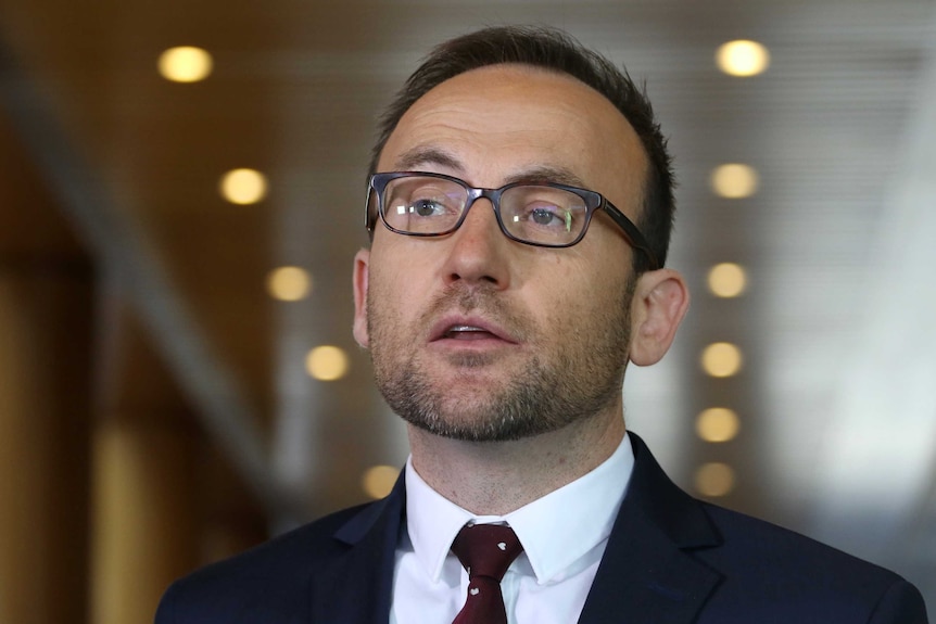 Adam Bandt speaks at Parliament House.