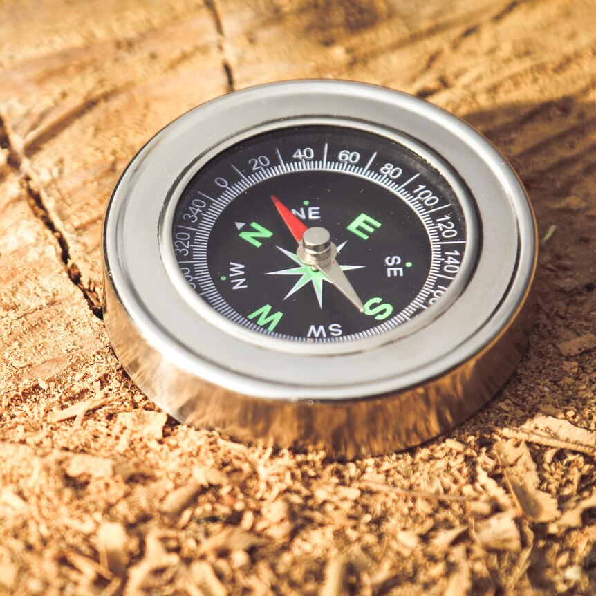 a compass on a piece of wood