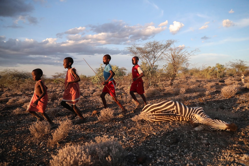 Four children walking past a zebra carcass