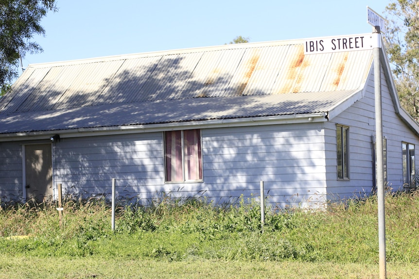 An old blue house on Ibis Street surrounded by tall grass and weeds.