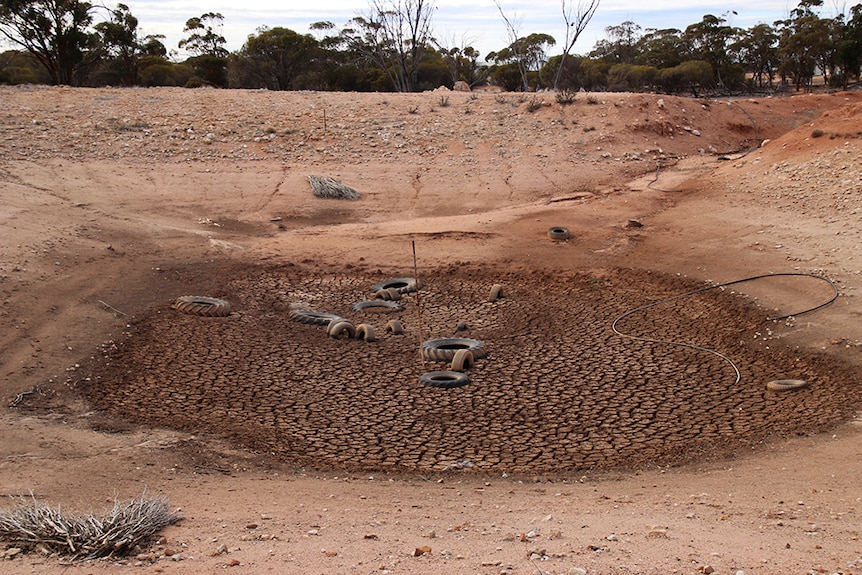 A dry dam with cracked earth and old car and tractor tyres at the bottom.