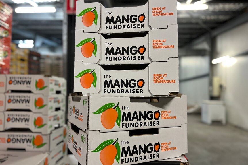 Stack of 'The Mango Fundraiser' boxes