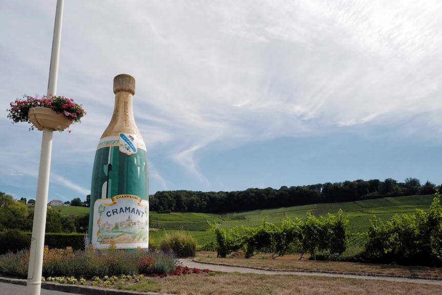 A Champagne advert is displayed at the entrance of the village in Avize, in the Champagne region.