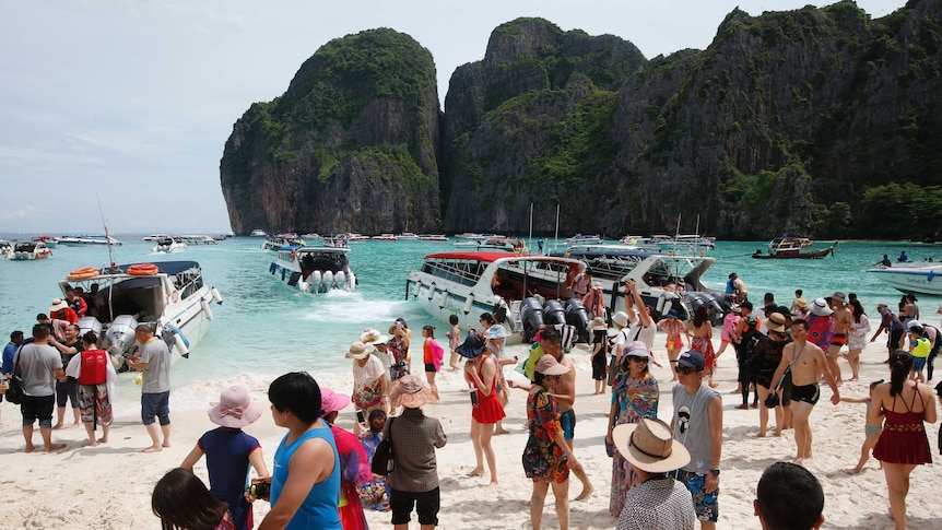 The Beach movie location on Thai island to be shut for 4-month  environmental regeneration - ABC News